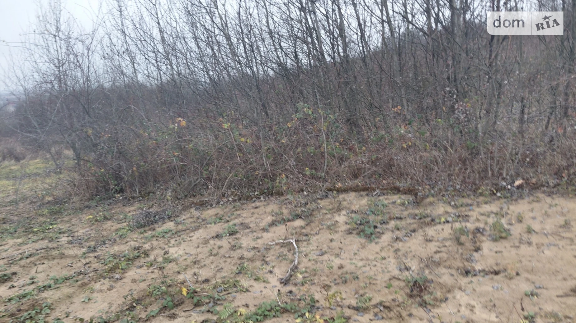 Продается земельный участок 14 соток в Закарпатской области, цена: 25200 $ - фото 2