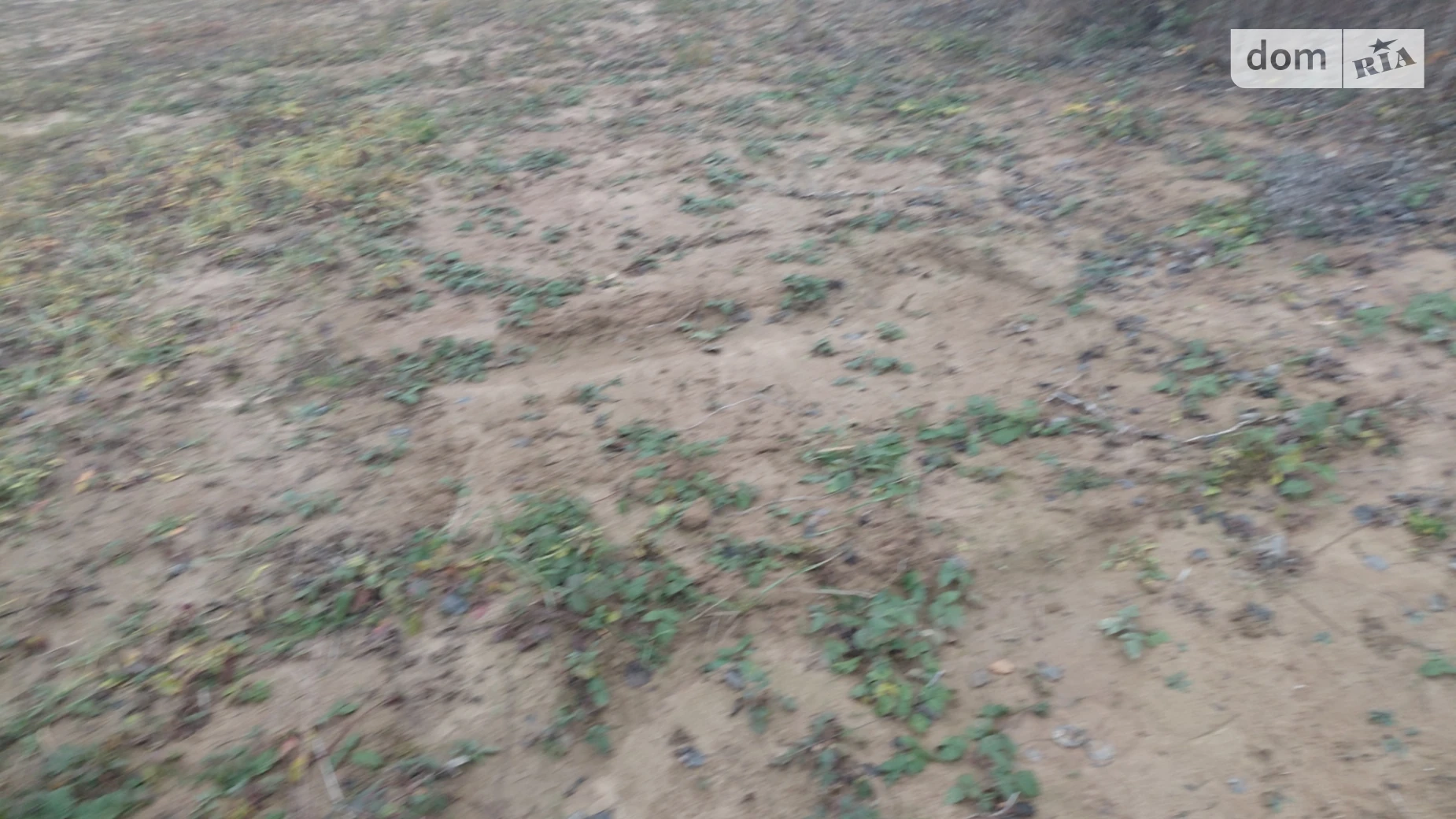 Продается земельный участок 14 соток в Закарпатской области, цена: 25200 $ - фото 4