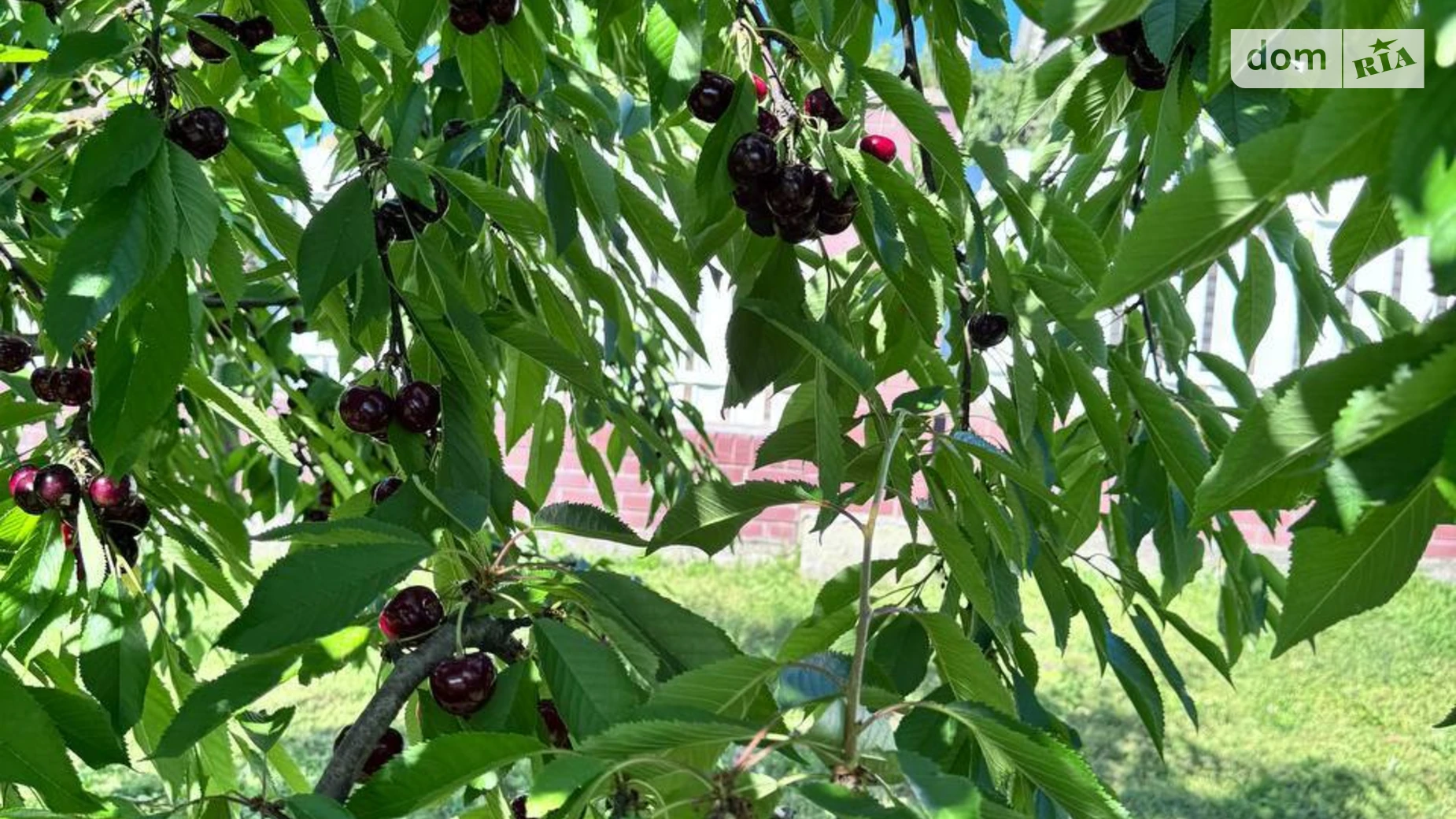 Продается земельный участок 15 соток в Хмельницкой области, цена: 75000 $ - фото 3