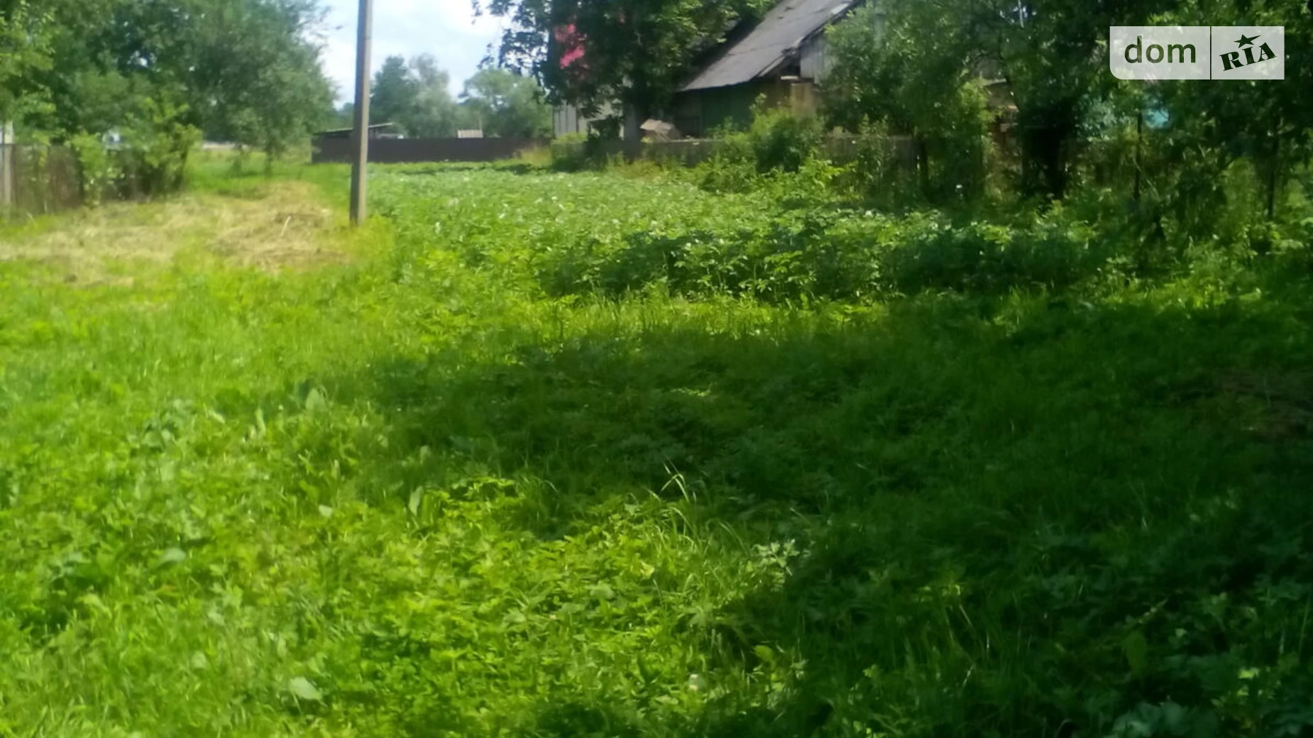 Продается земельный участок 31 соток в Ивано-Франковской области, цена: 9500 $ - фото 3