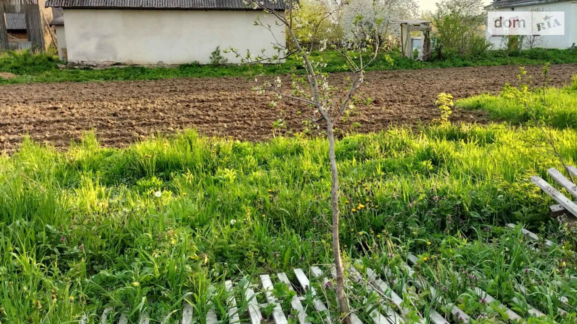 Продается земельный участок 31 соток в Ивано-Франковской области, цена: 9500 $ - фото 5