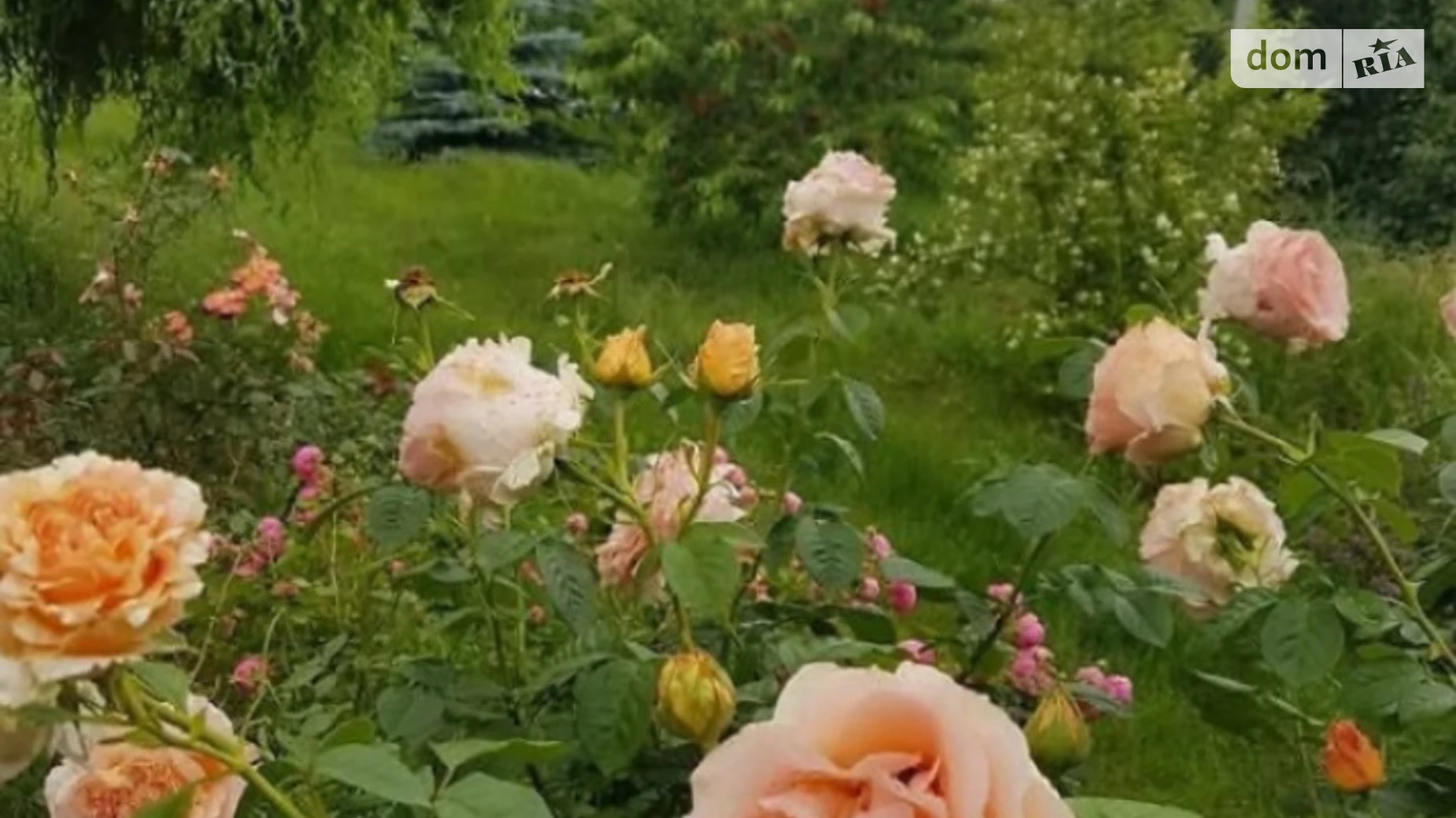 Продається земельна ділянка 214 соток у Вінницькій області, цена: 430000 $ - фото 5