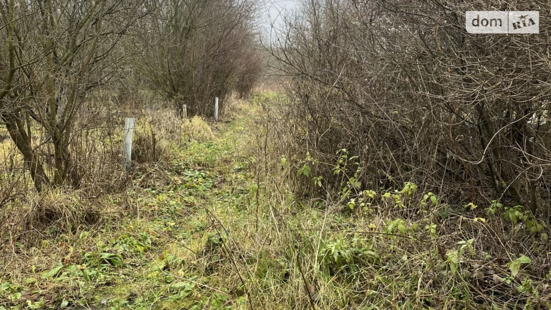 Продается земельный участок 8 соток в Хмельницкой области, цена: 9000 $ - фото 2