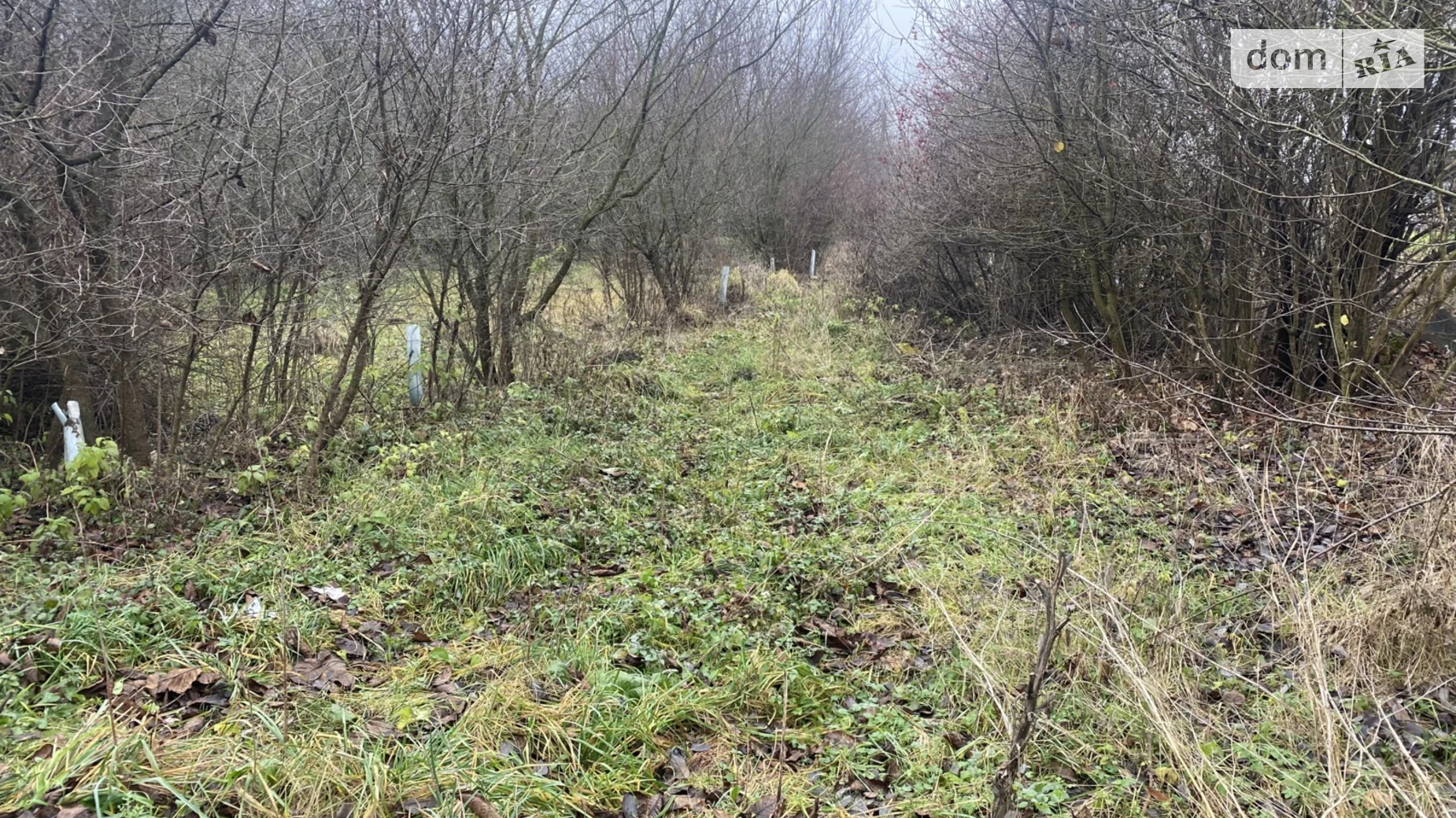 Продается земельный участок 8 соток в Хмельницкой области, цена: 9000 $ - фото 4