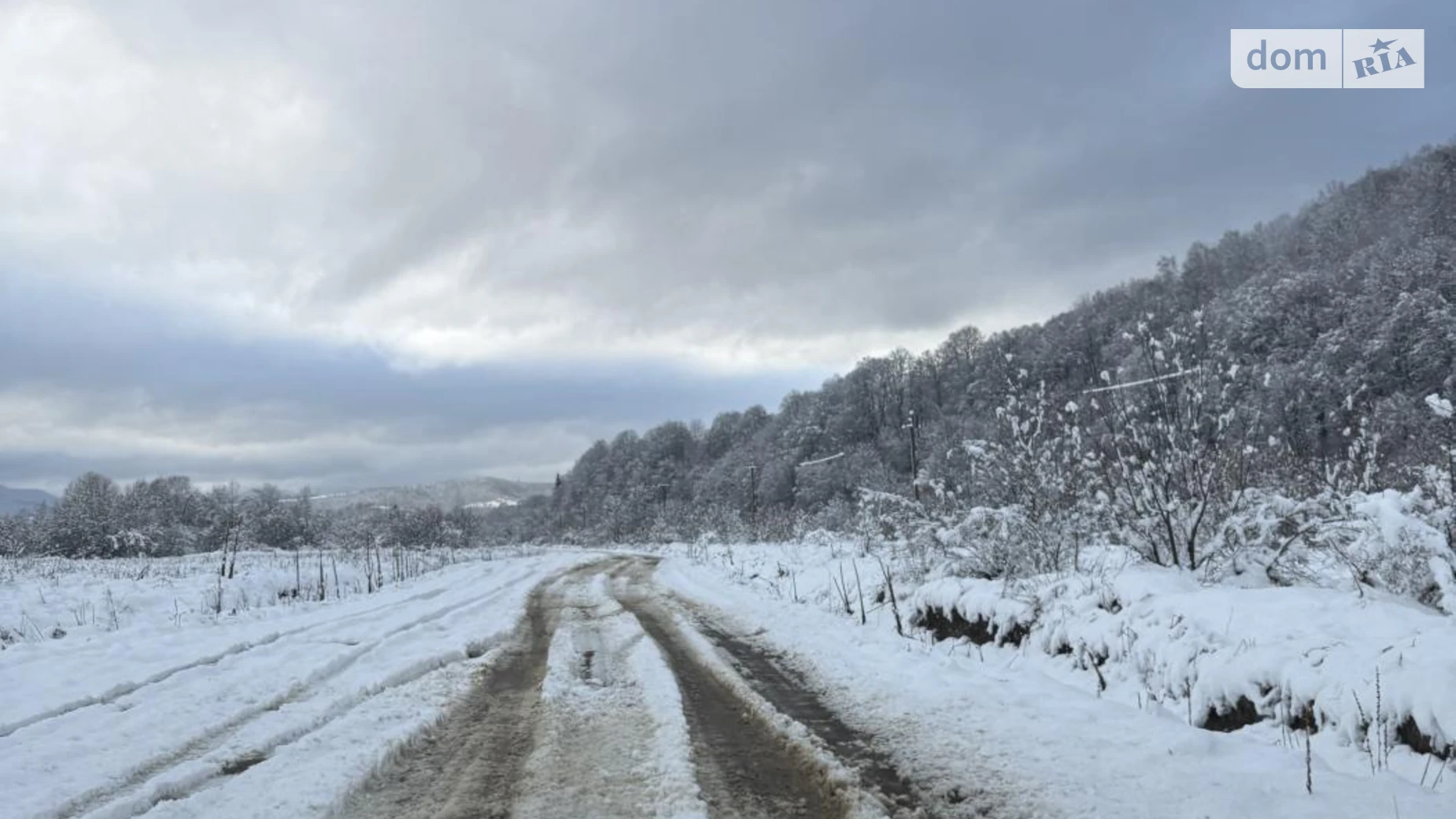 Верхнє Синьовидне, цена: 45000 $ - фото 4