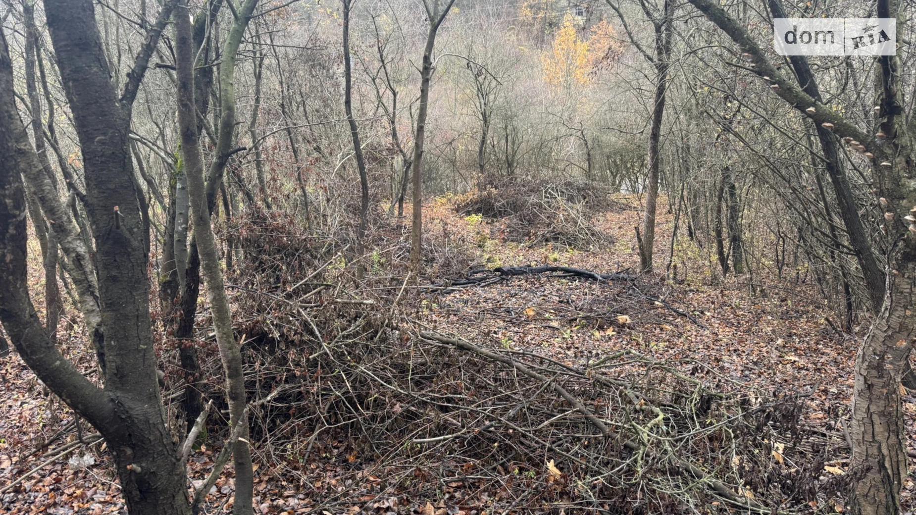 Продається земельна ділянка 4.28 соток у Львівській області, цена: 10200 $ - фото 2