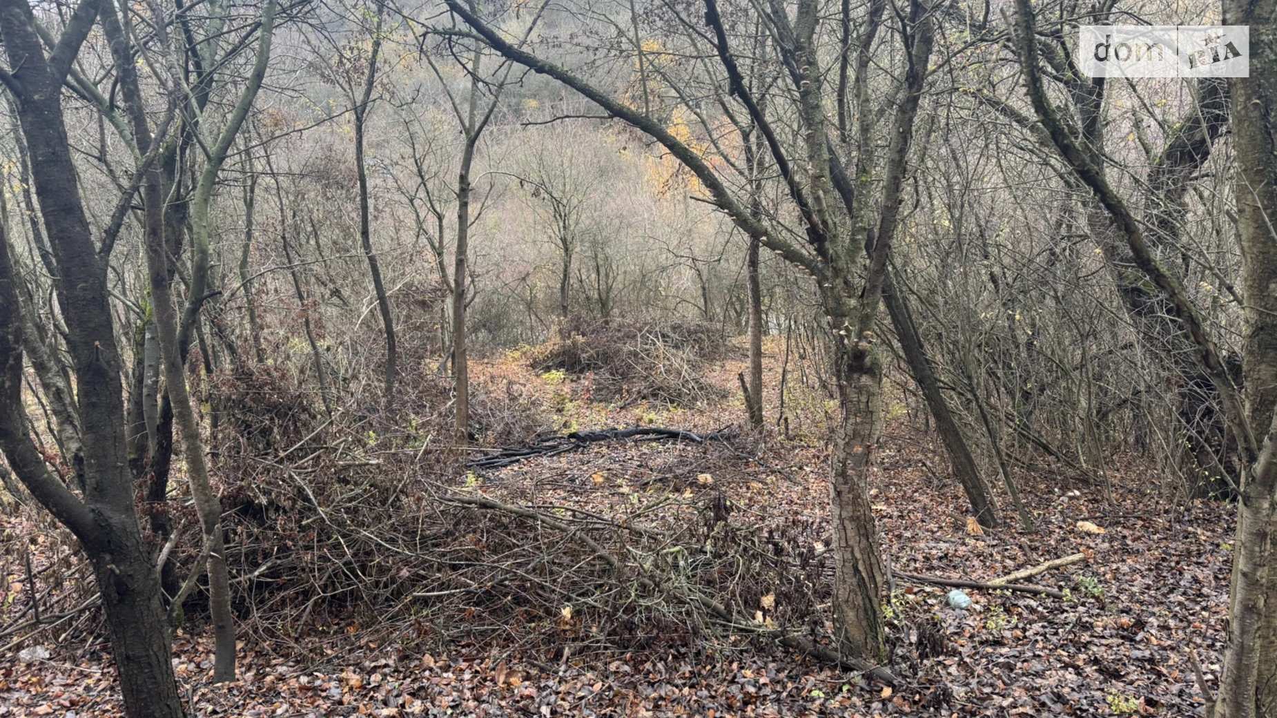 Продається земельна ділянка 4.28 соток у Львівській області, цена: 10200 $ - фото 3