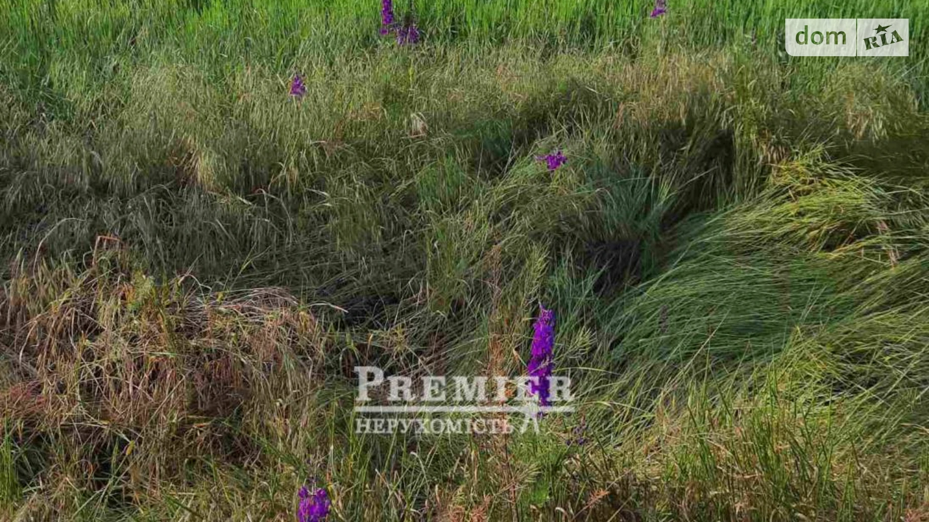 Продається земельна ділянка 10 соток у Одеській області, цена: 4500 $ - фото 5