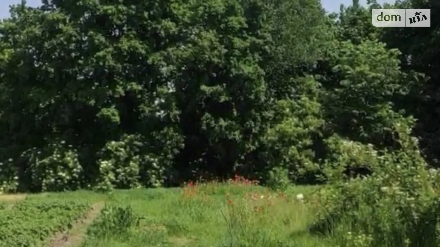 ул. Шевченко Гвоздов, цена: 49000 $ - фото 5