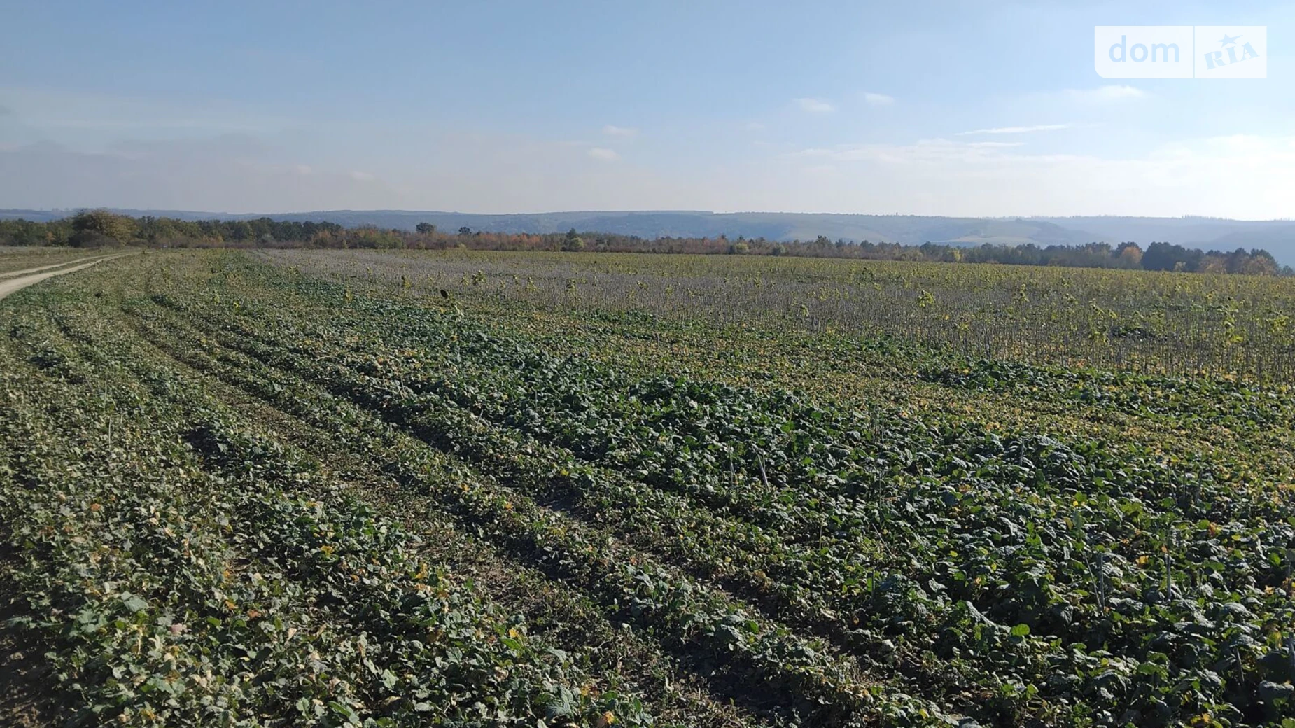 Сдается в аренду земельный участок 10.0571 соток в Хмельницкой области, цена: 31719 грн - фото 3