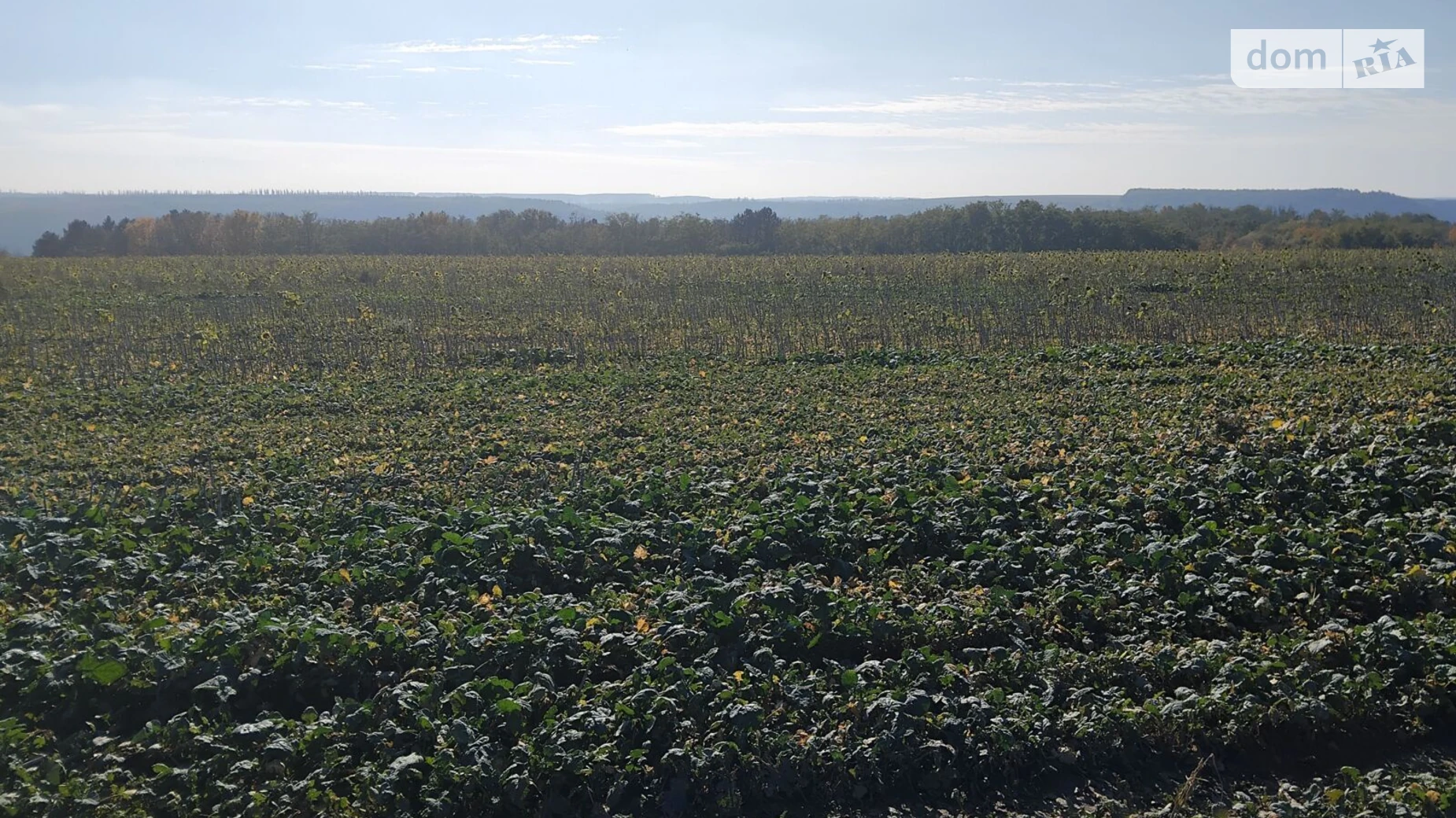 Сдается в аренду земельный участок 10 соток в Хмельницкой области, цена: 32630 грн - фото 4