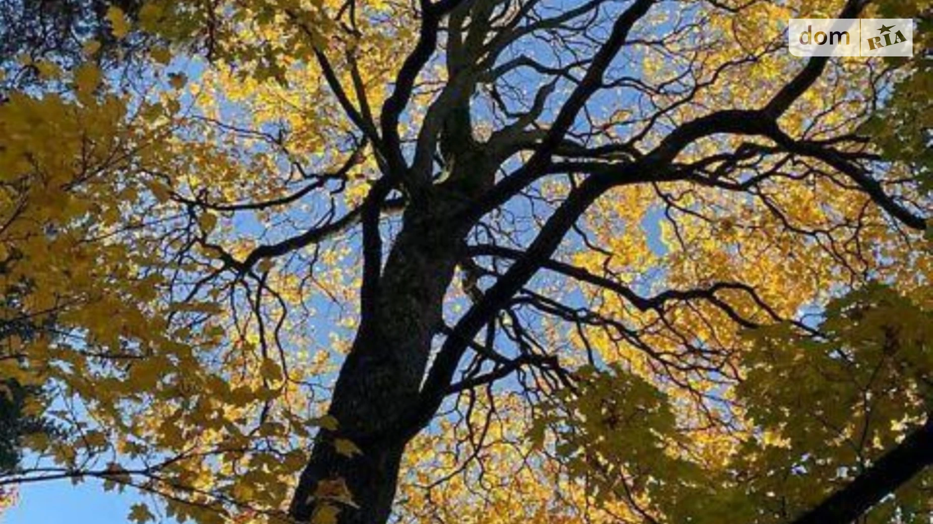 Продается 1-комнатная квартира 39 кв. м в Киеве, цена: 53000 $ - фото 4