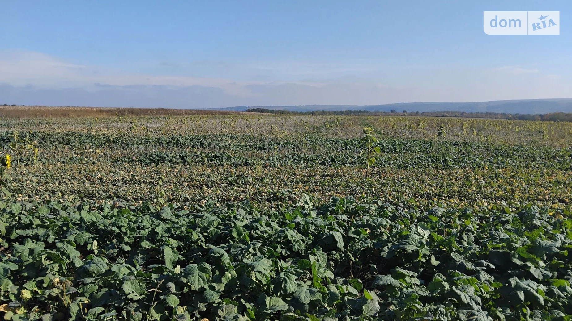 Сдается в аренду земельный участок 10 соток в Хмельницкой области, цена: 32630 грн - фото 3