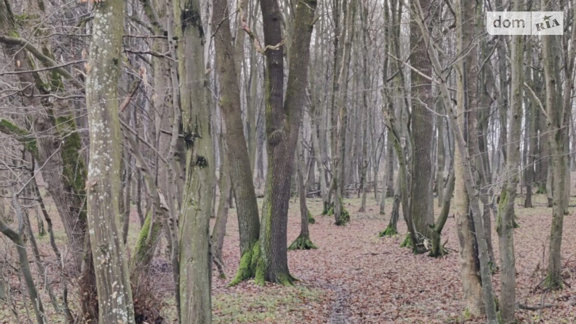 Продається земельна ділянка 5.3 соток у Львівській області, цена: 12000 $ - фото 3