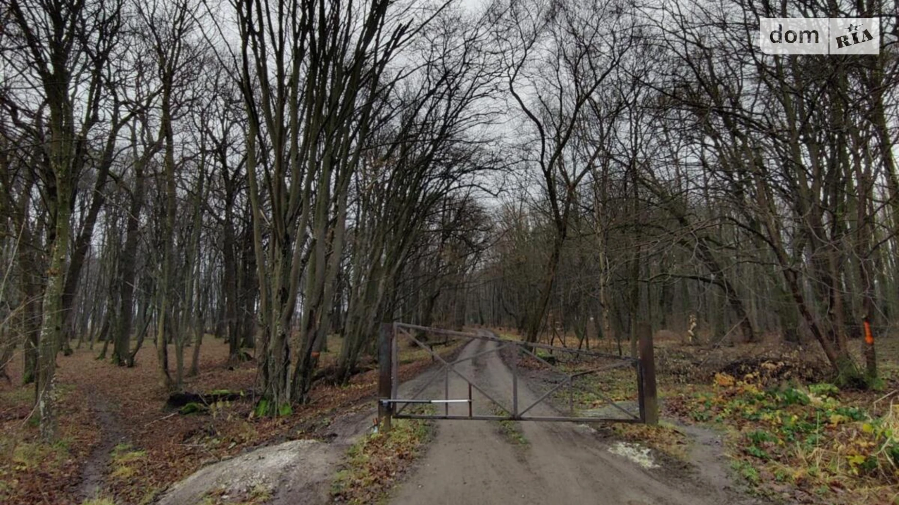 Продається земельна ділянка 5.3 соток у Львівській області, цена: 12000 $ - фото 4
