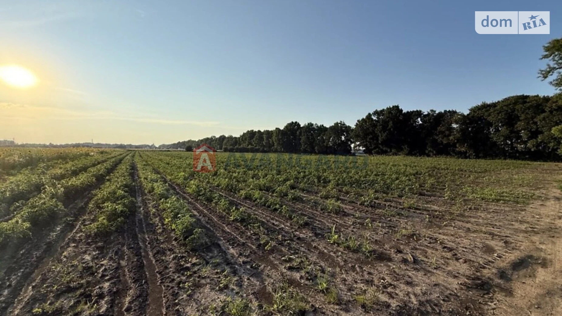 Продається земельна ділянка 6 соток у Вінницькій області, цена: 17500 $ - фото 4