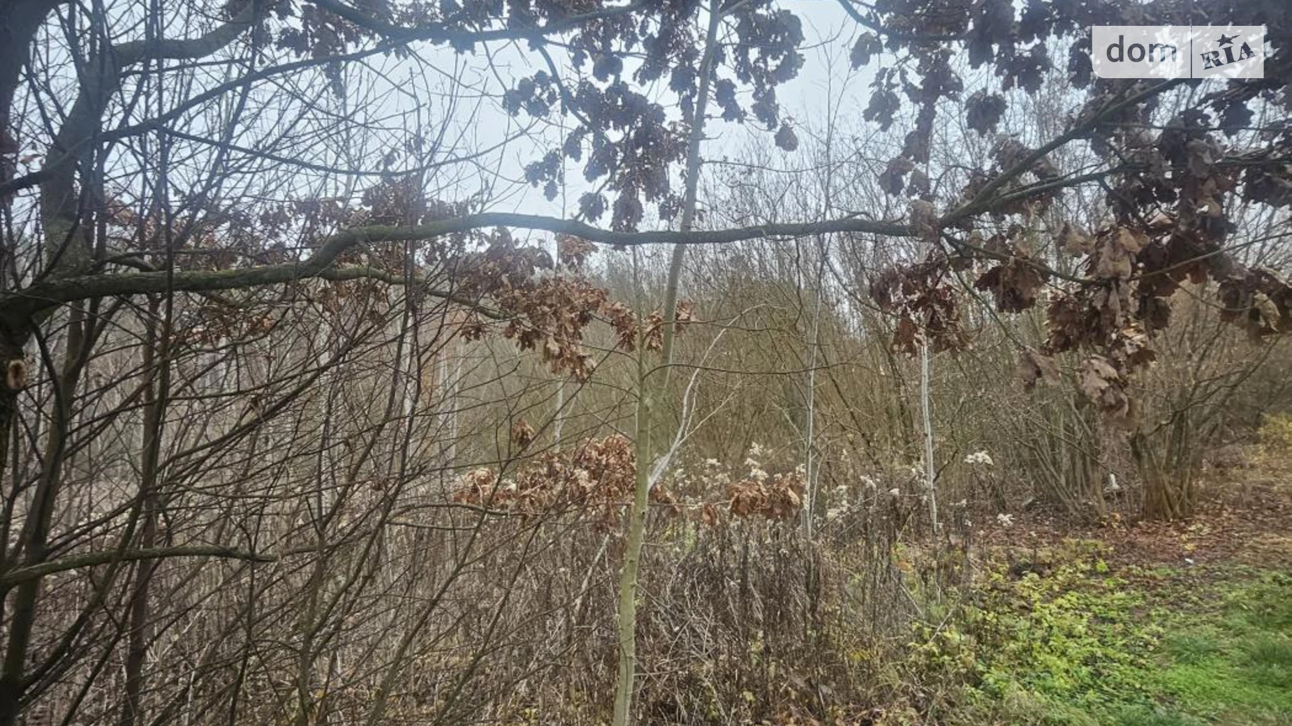 Продается земельный участок 12 соток в Киевской области, цена: 52500 $ - фото 5