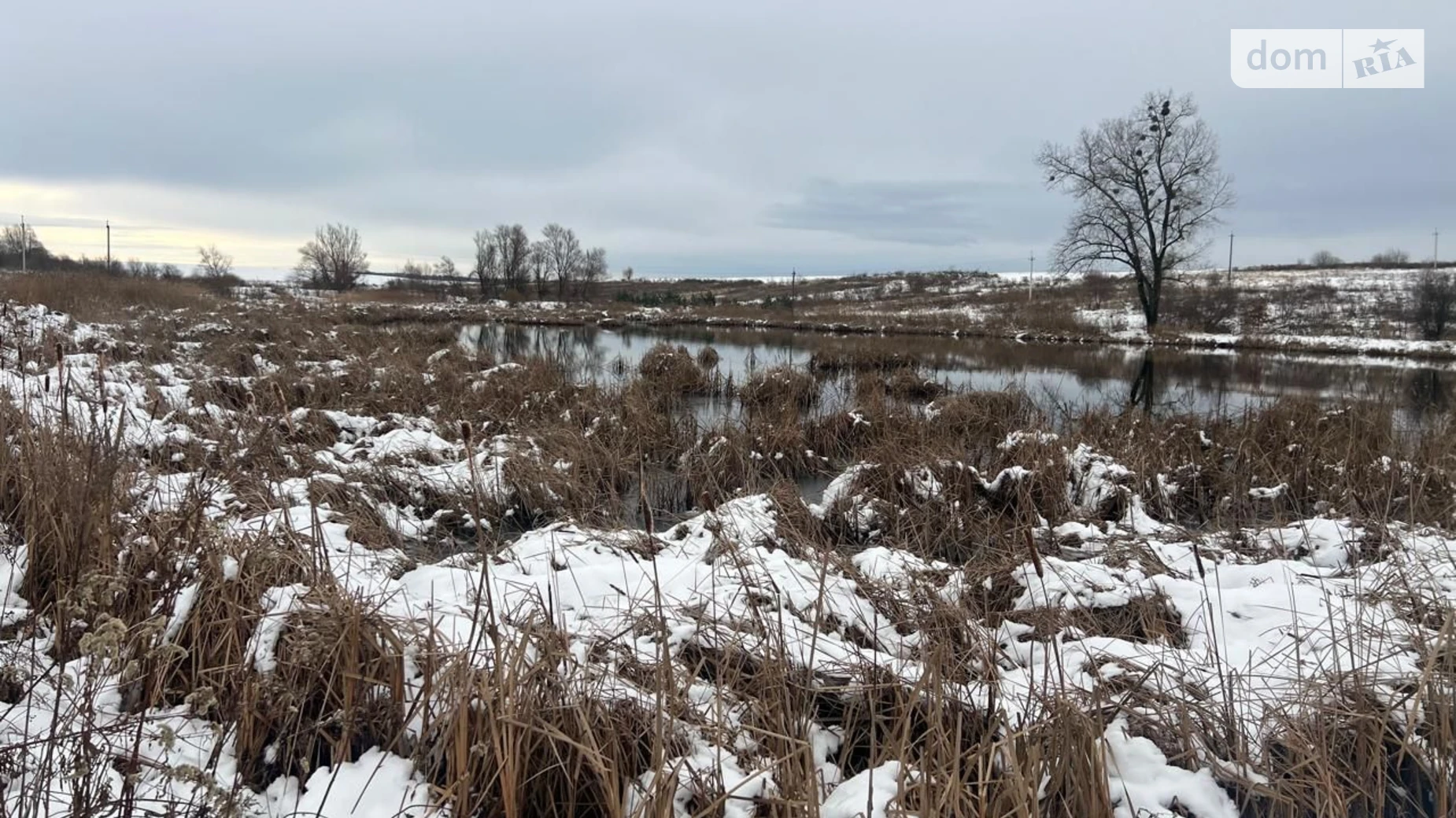 Сдается в аренду земельный участок 6.1411 соток в Львовской области, цена: 8700 грн - фото 2