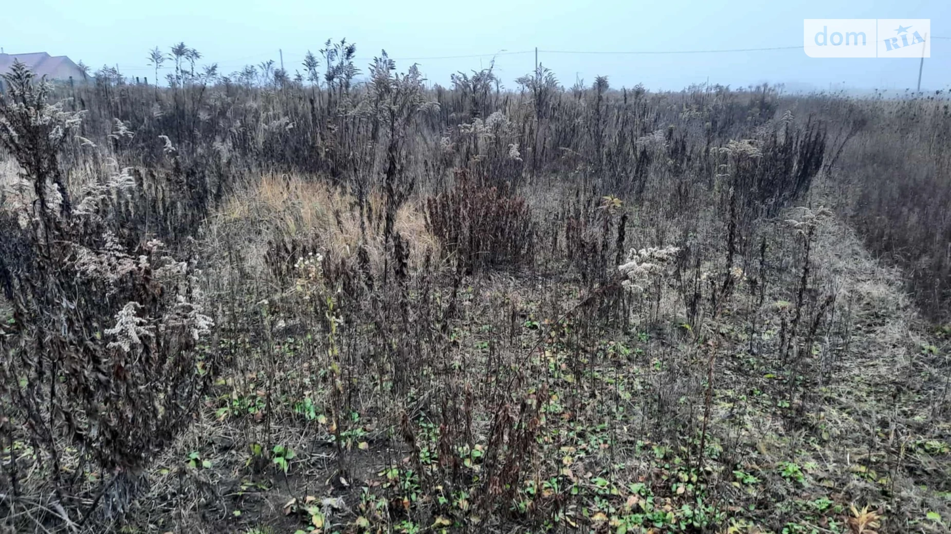 Продается земельный участок 8.5 соток в Ровенской области, цена: 25800 $ - фото 2