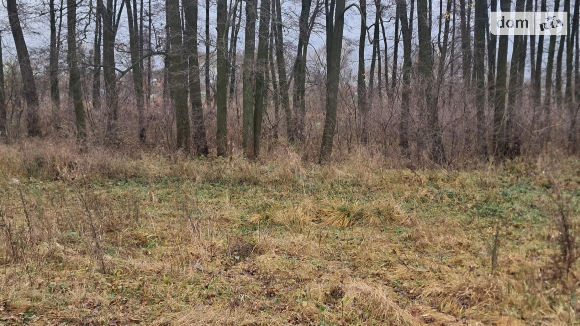 Продается земельный участок 12 соток в Винницкой области, цена: 16000 $ - фото 2