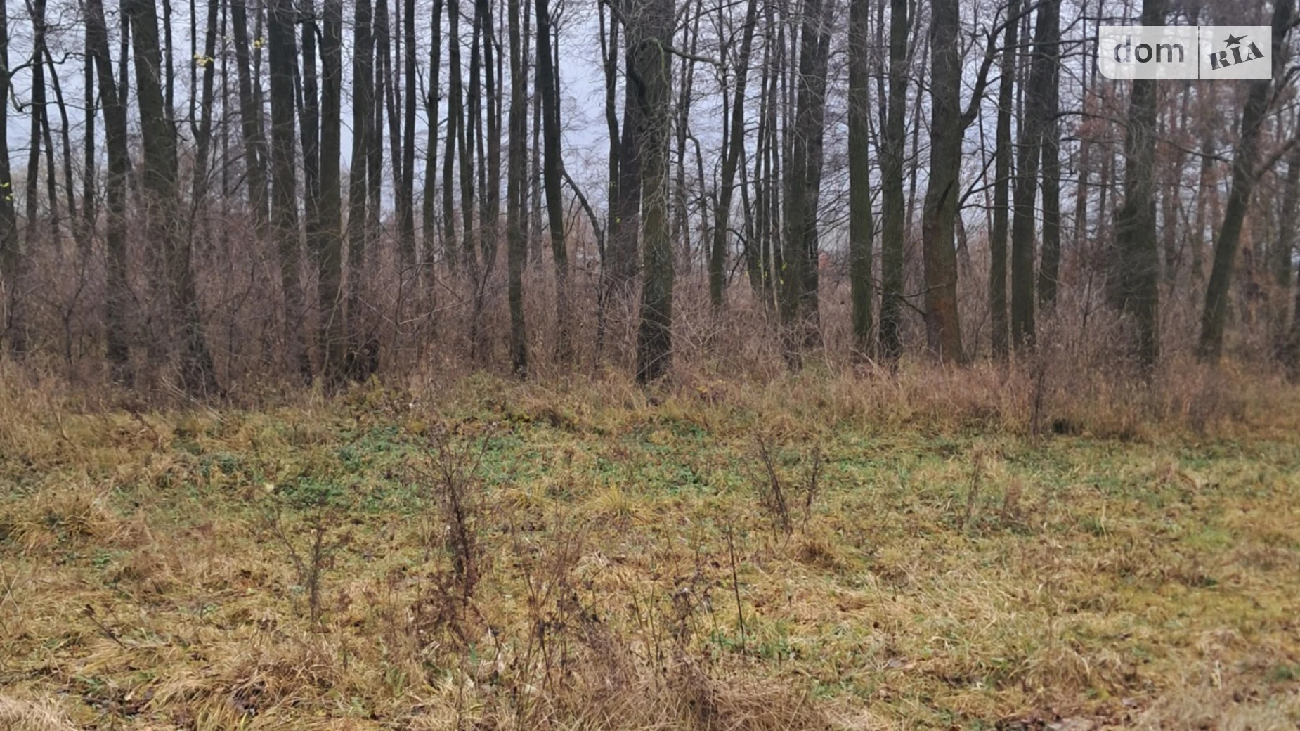 Продается земельный участок 12 соток в Винницкой области, цена: 16000 $ - фото 3