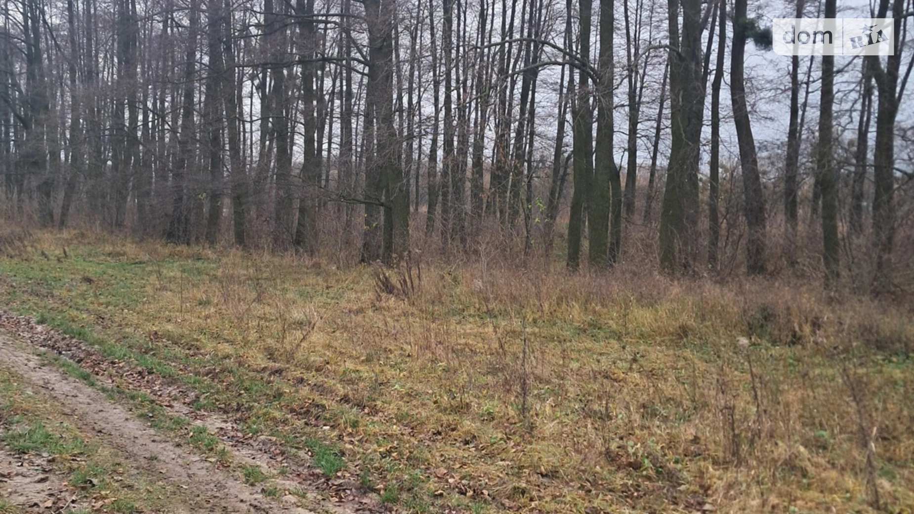 Продается земельный участок 12 соток в Винницкой области, цена: 16000 $ - фото 4