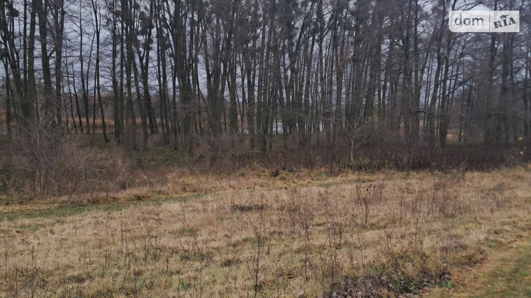 Продается земельный участок 12 соток в Винницкой области, цена: 16000 $ - фото 5