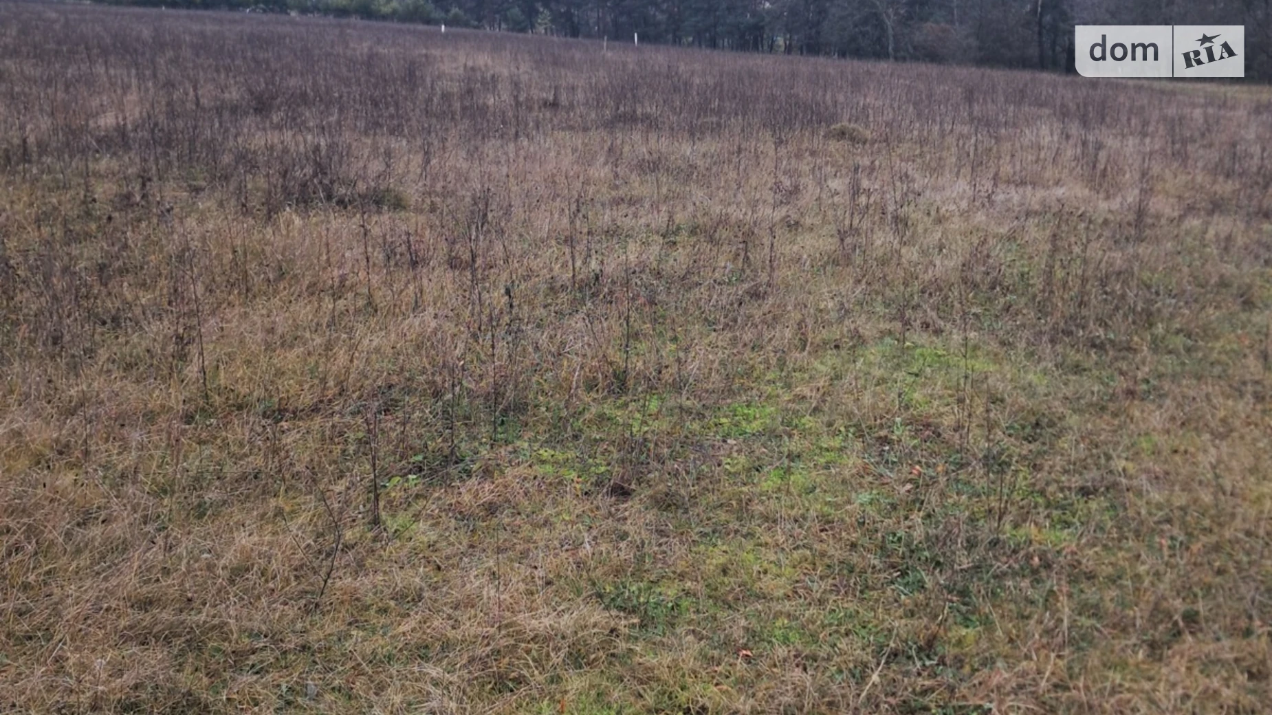 Продается земельный участок 10 соток в Винницкой области, цена: 13000 $ - фото 2