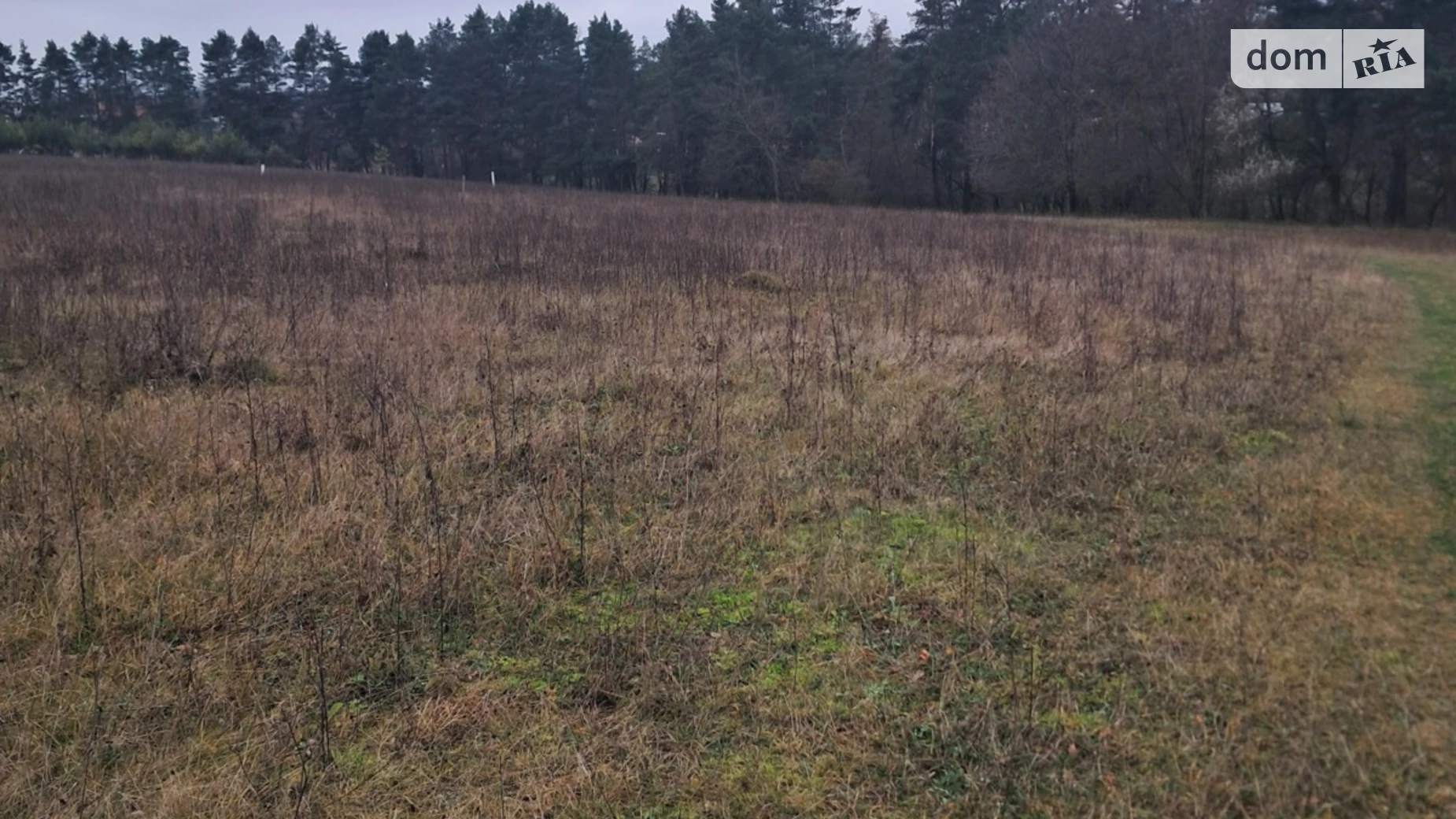 Продается земельный участок 10 соток в Винницкой области, цена: 13000 $ - фото 3