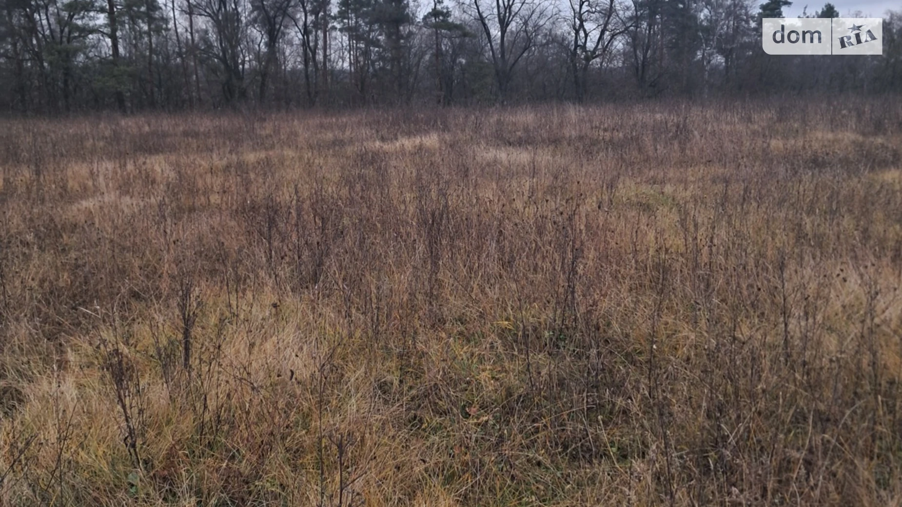 Продается земельный участок 10 соток в Винницкой области, цена: 13000 $ - фото 4