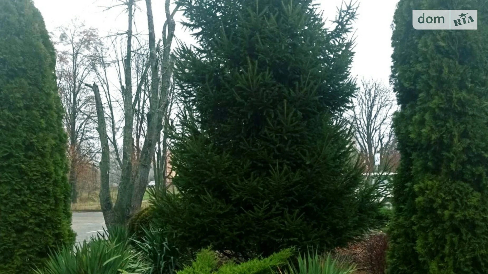 Сдается в аренду 1-комнатная квартира 38 кв. м в, цена: 10800 грн - фото 3