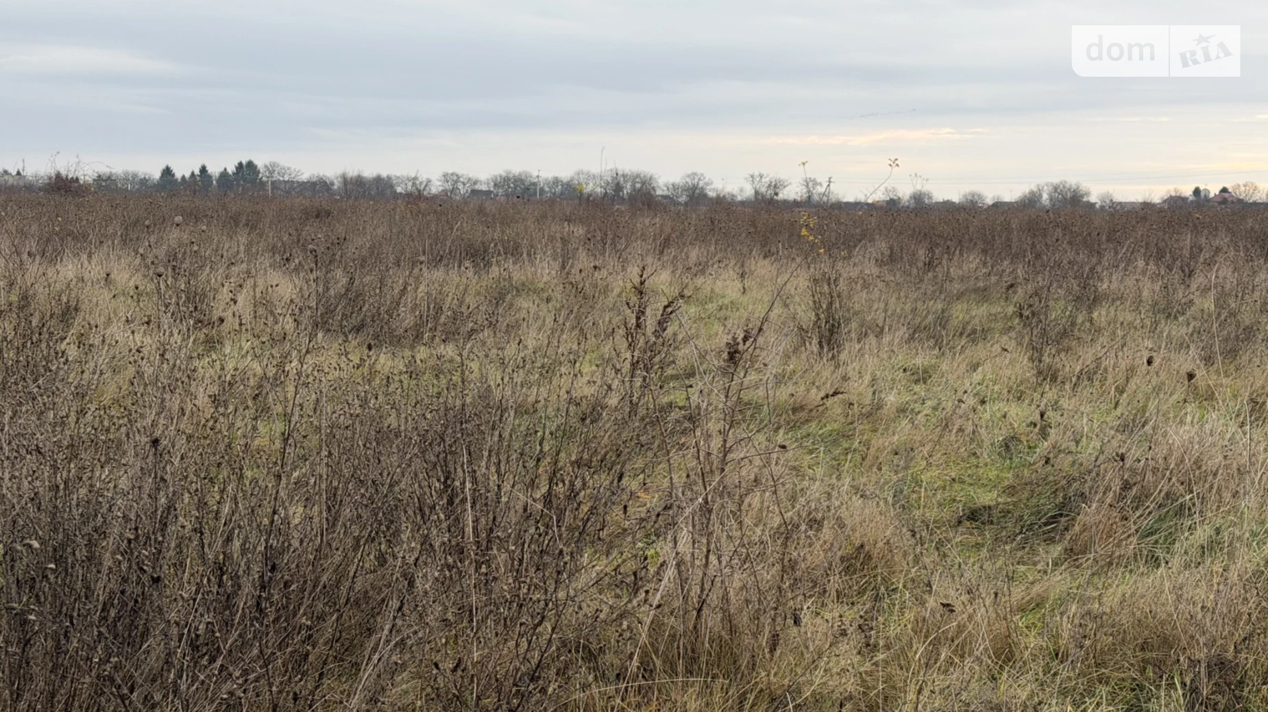 Продается земельный участок 8 соток в Закарпатской области, цена: 5000 $ - фото 5