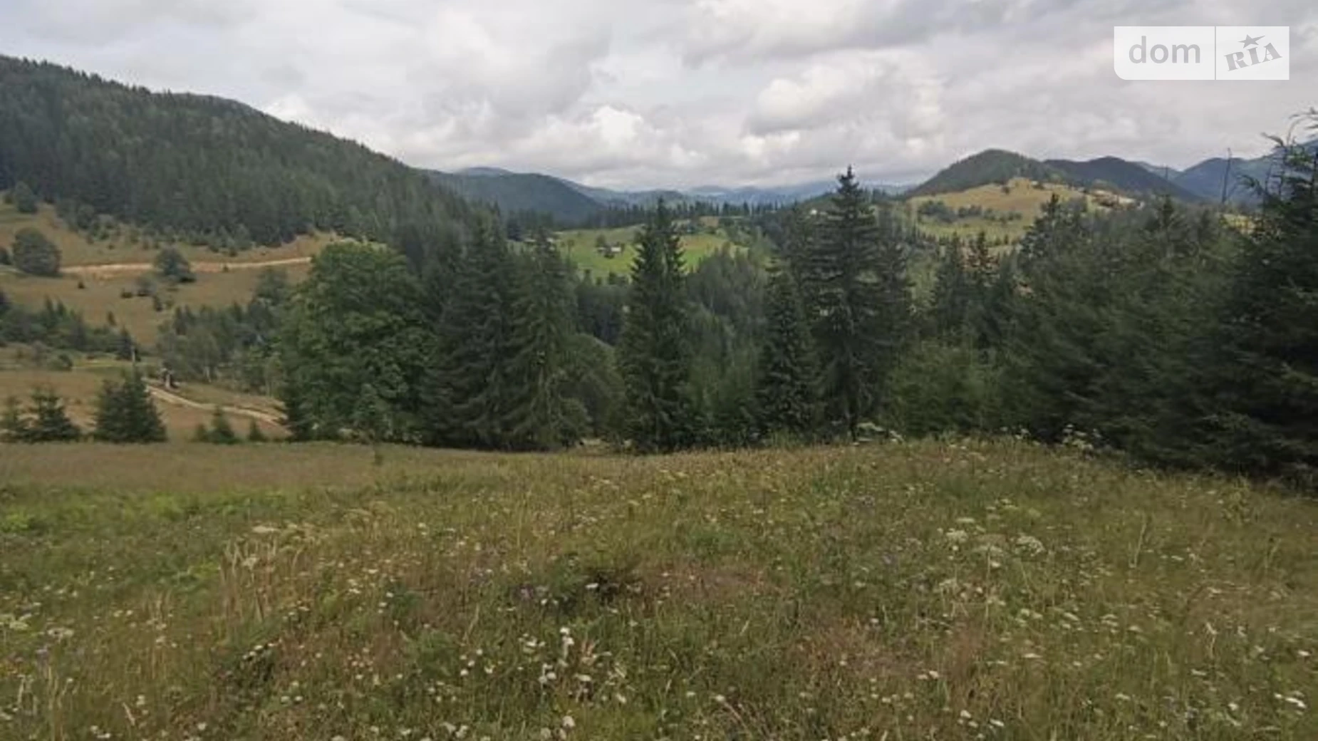 Продается земельный участок 73.16 соток в Ивано-Франковской области, цена: 145000 $ - фото 3