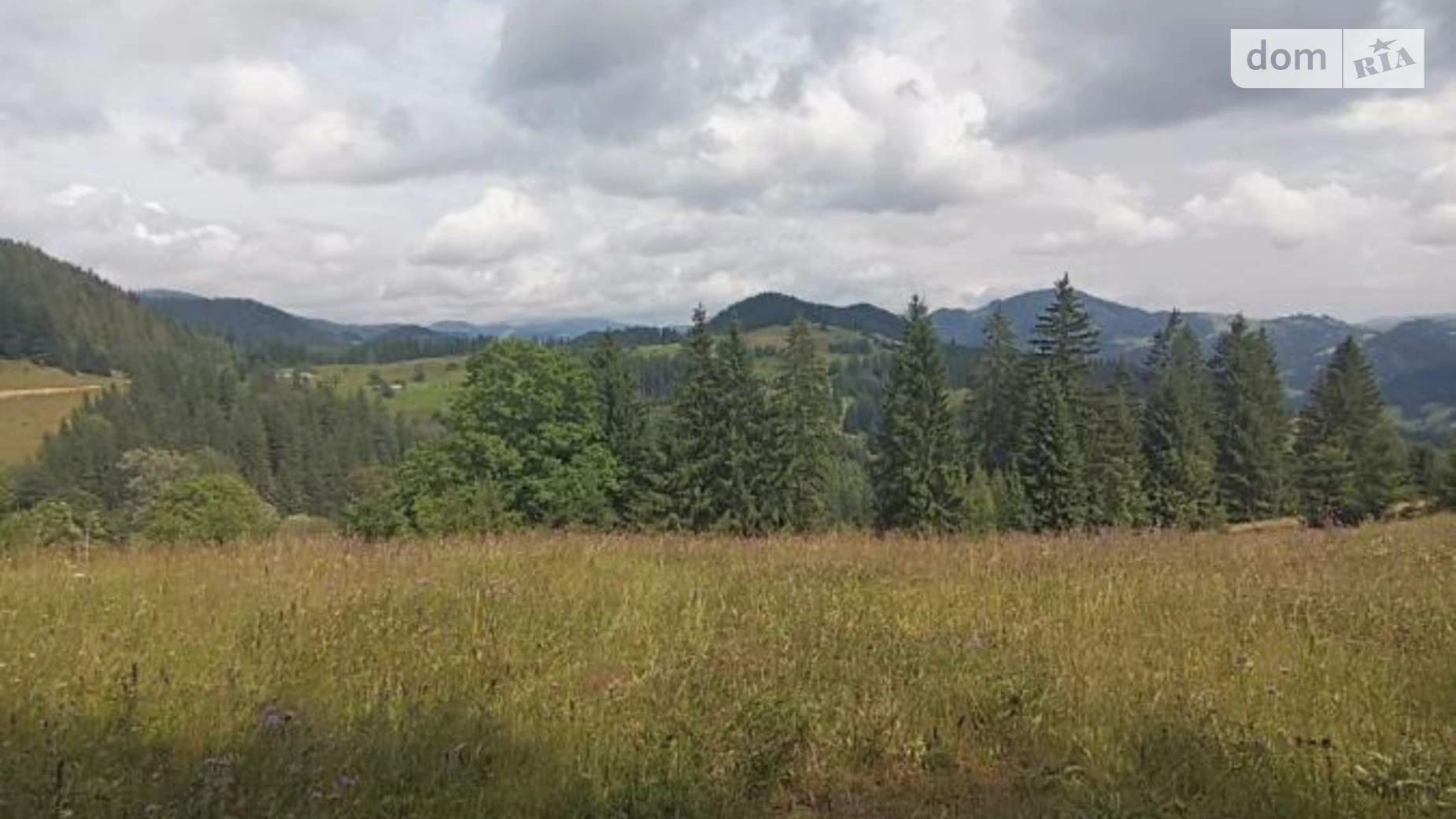 Продается земельный участок 73.16 соток в Ивано-Франковской области, цена: 145000 $ - фото 4