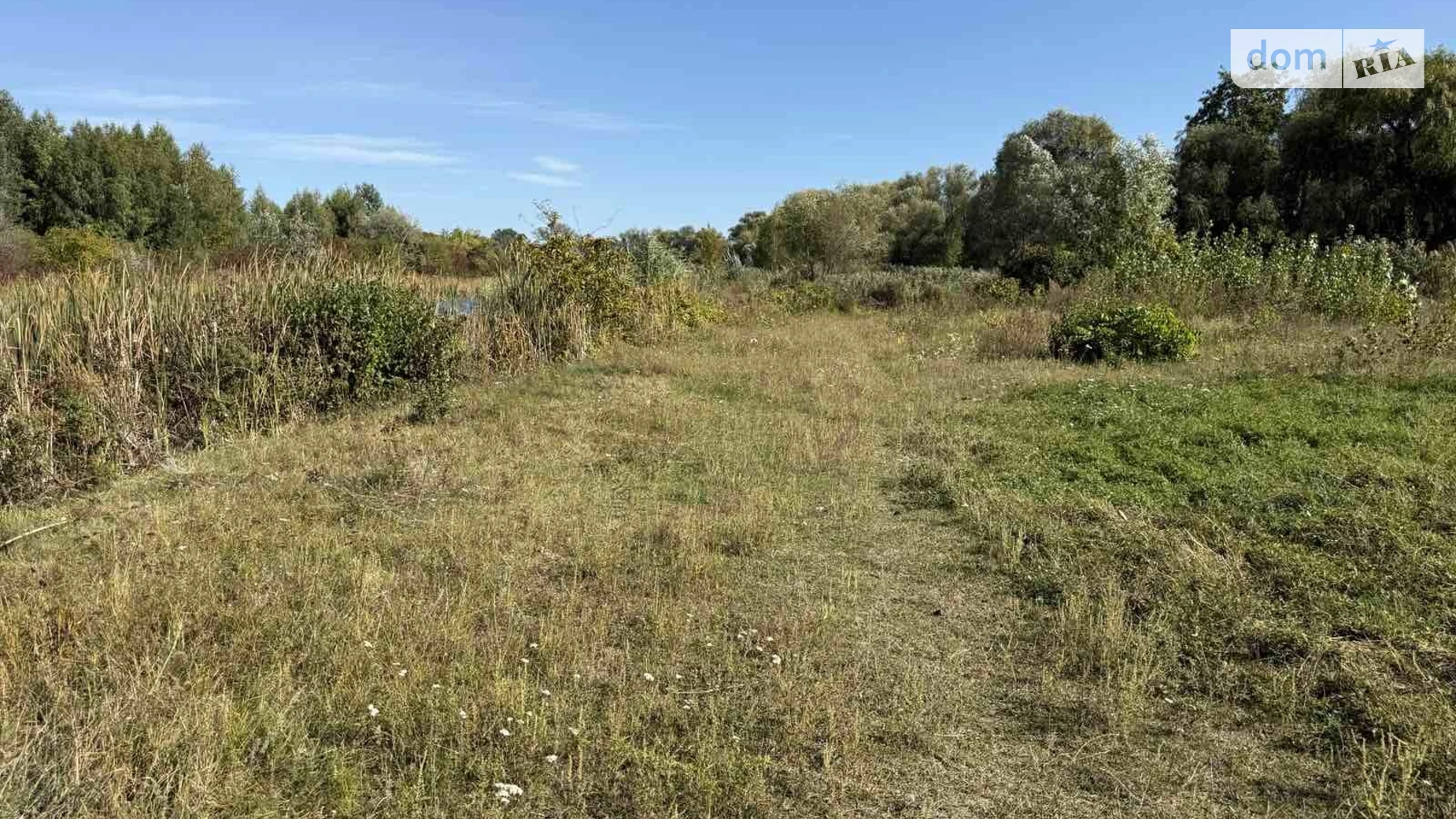 Продается земельный участок 20 соток в Черкасской области, цена: 110000 $ - фото 2