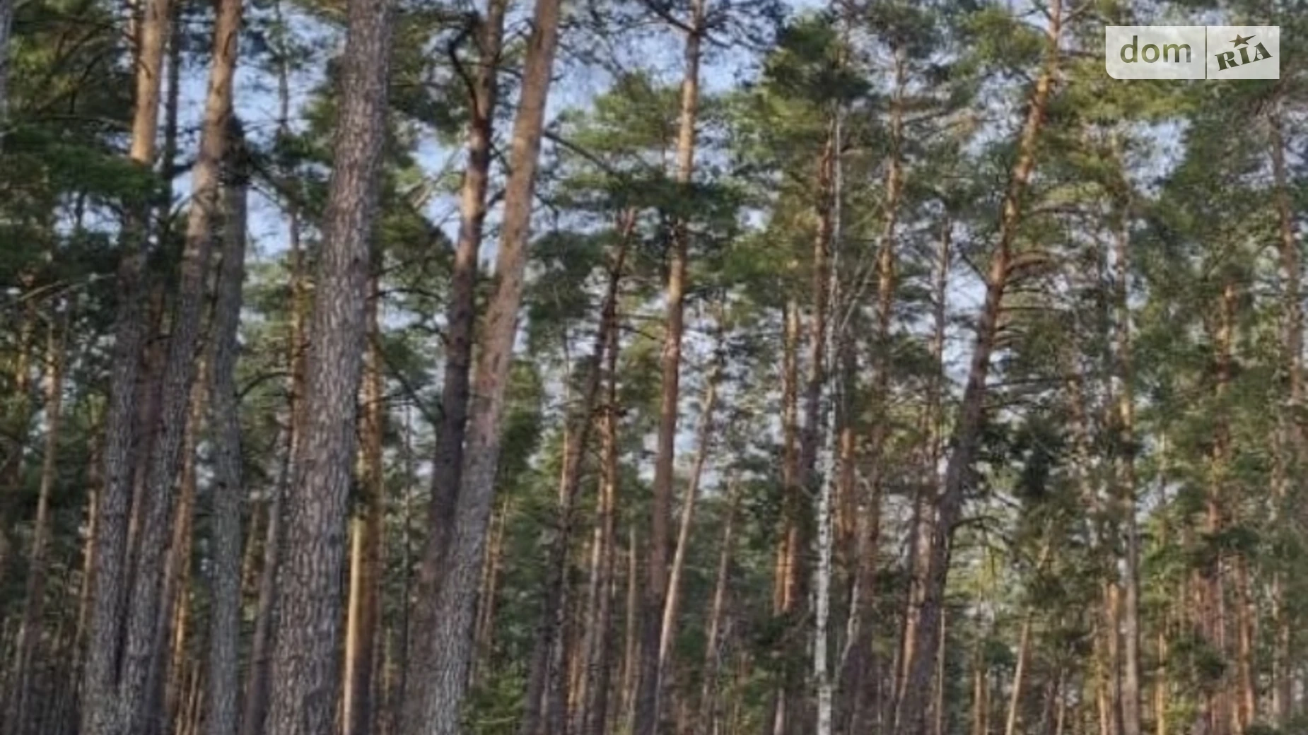 Продается земельный участок 67.56 соток в Киевской области, цена: 29051 $ - фото 2
