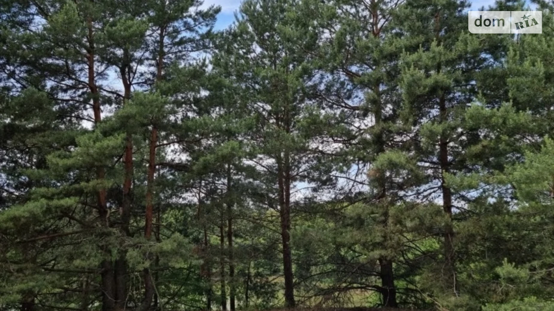 Продается земельный участок 67.56 соток в Киевской области, цена: 29051 $ - фото 3