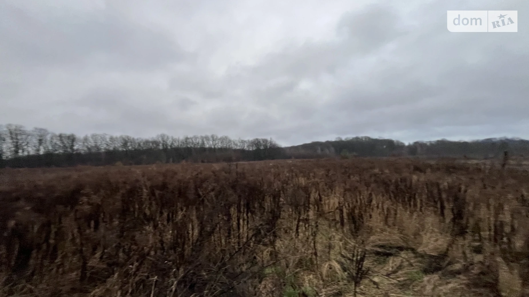 Продается земельный участок 10 соток в Винницкой области, цена: 15000 $ - фото 2