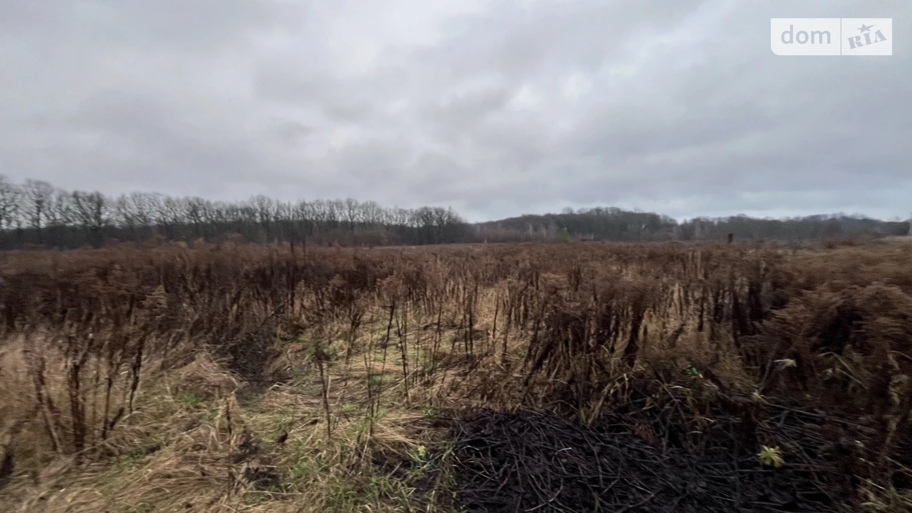 Продается земельный участок 10 соток в Винницкой области, цена: 15000 $ - фото 5