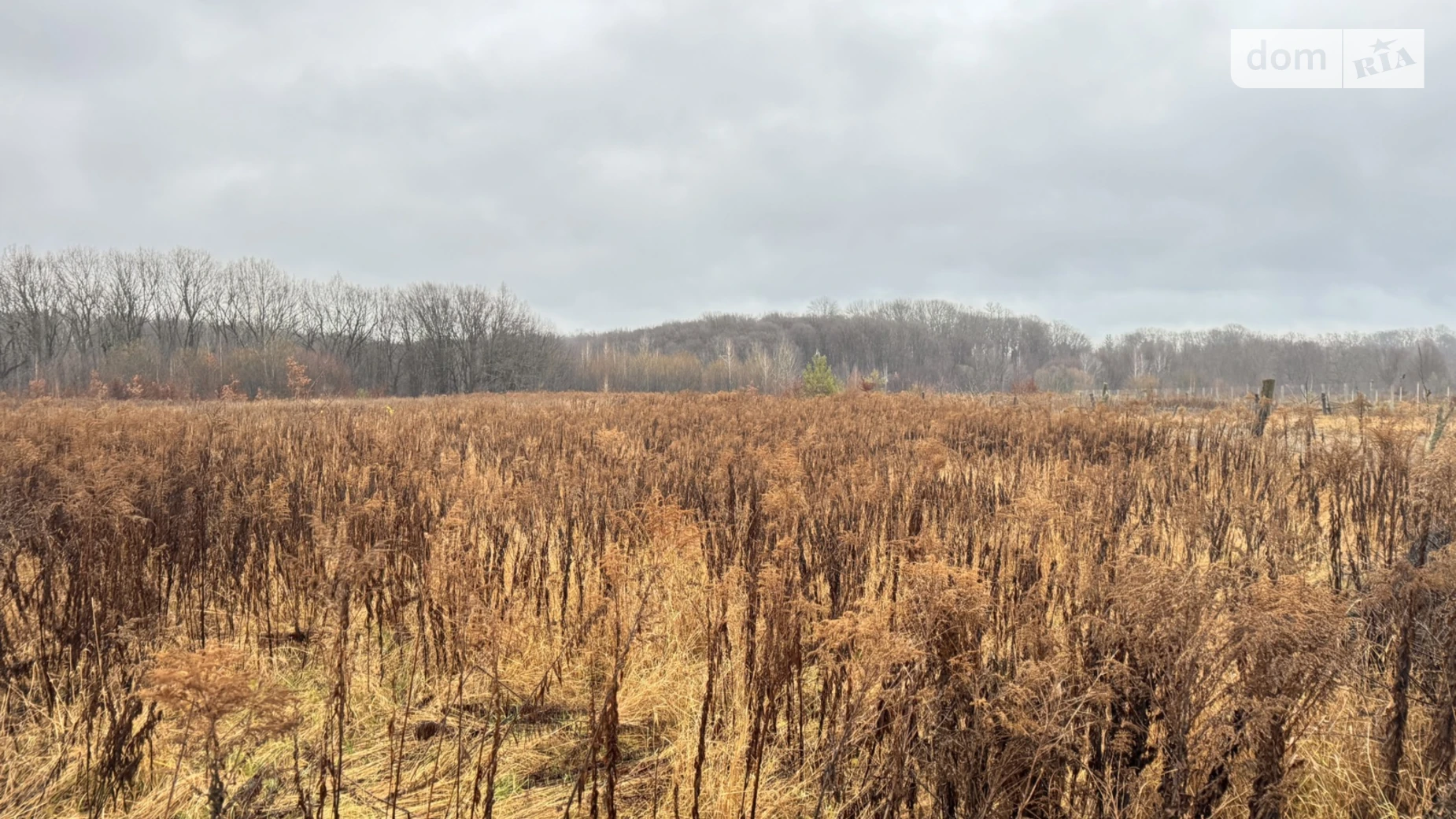 Продается земельный участок 10 соток в Винницкой области, цена: 15000 $ - фото 2