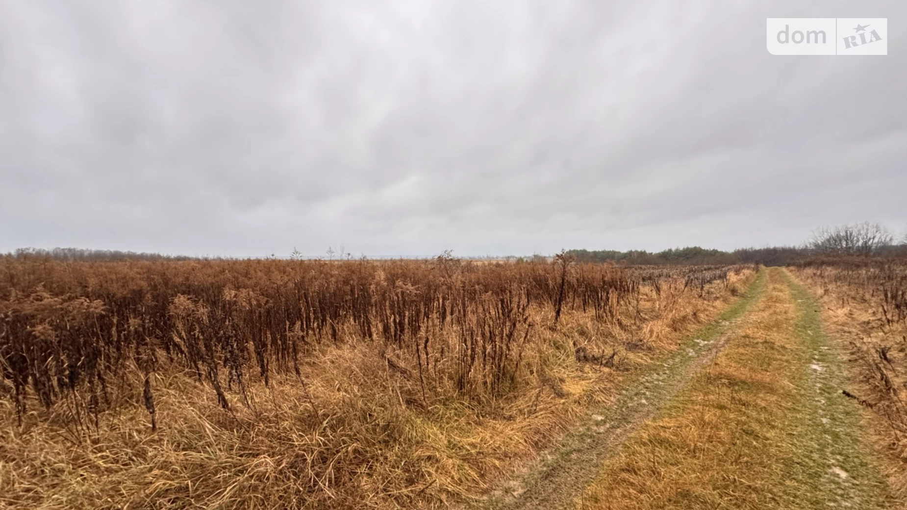 Продается земельный участок 10 соток в Винницкой области, цена: 15000 $ - фото 5