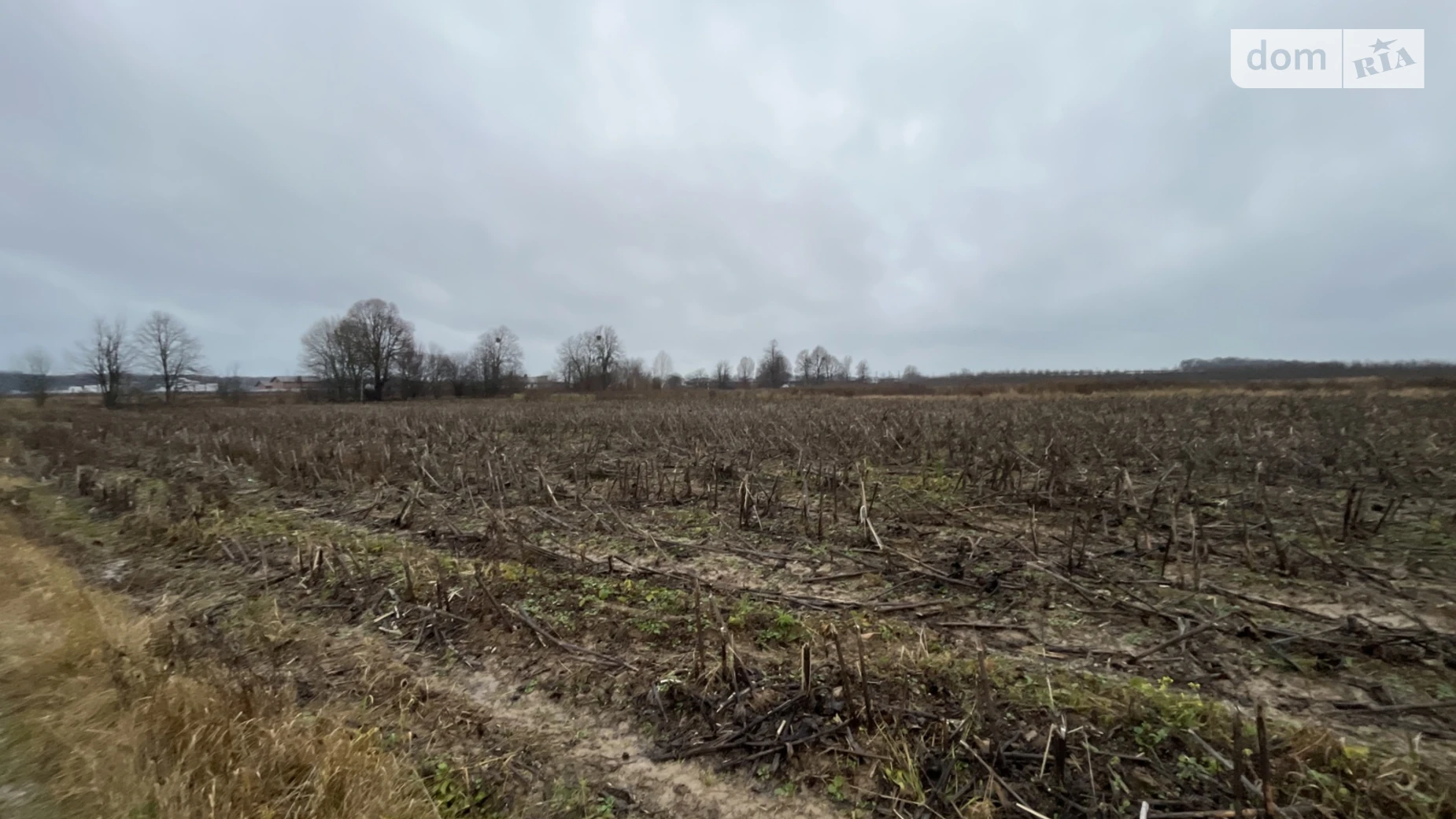 Продается земельный участок 10 соток в Винницкой области, цена: 15000 $ - фото 2
