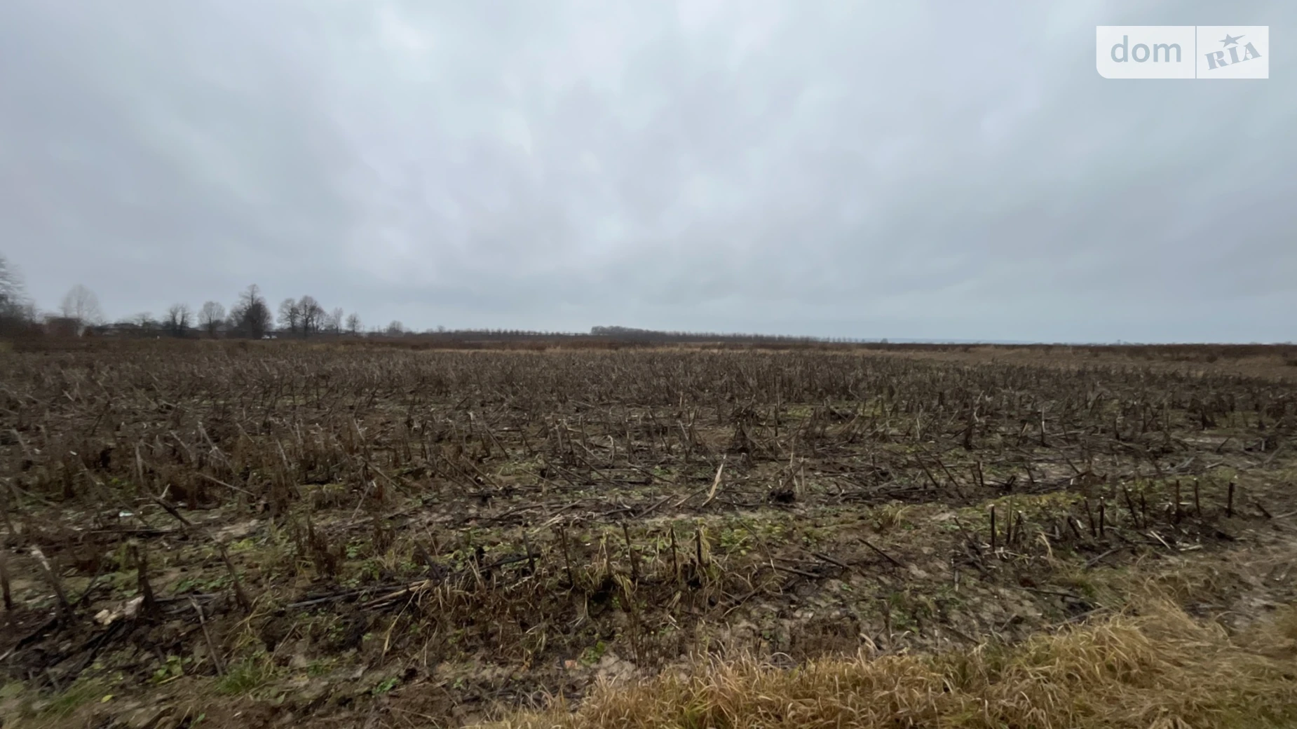 Продается земельный участок 10 соток в Винницкой области, цена: 15000 $ - фото 3