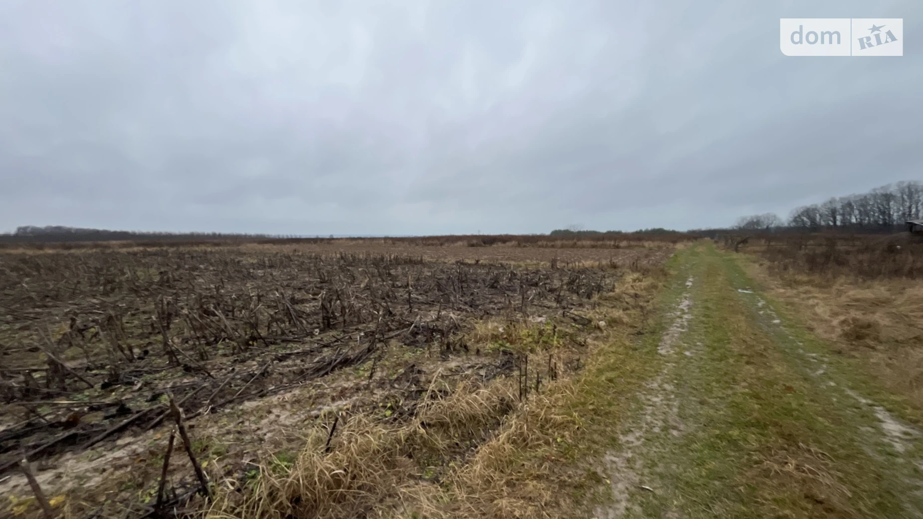 Продается земельный участок 10 соток в Винницкой области, цена: 15000 $ - фото 4