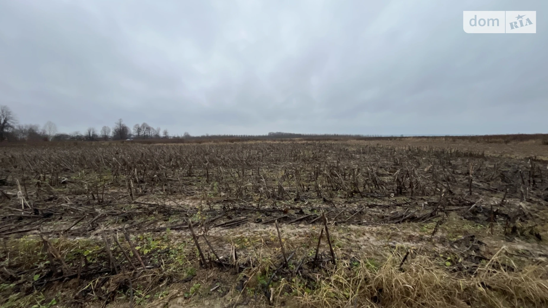 Продается земельный участок 10 соток в Винницкой области, цена: 15000 $ - фото 5
