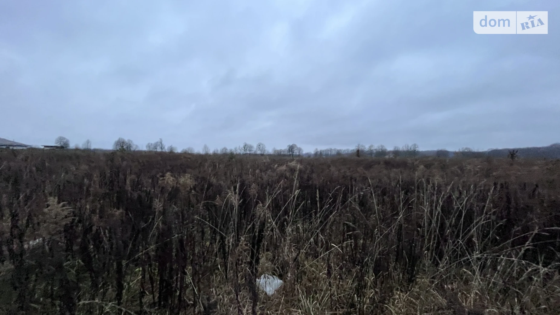 Продается земельный участок 20 соток в Винницкой области, цена: 50000 $ - фото 3