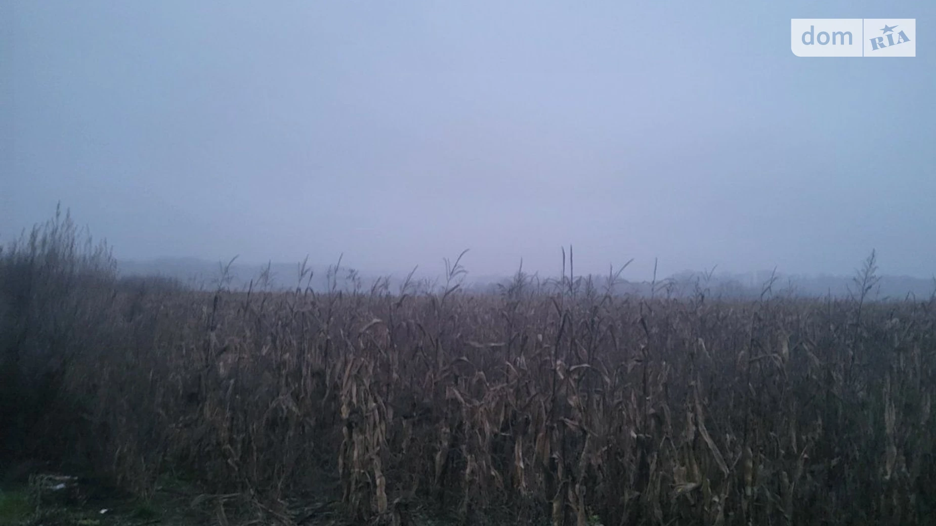 Здається в оренду земельна ділянка 7.7727 соток у  області, цена: 635161 грн - фото 2