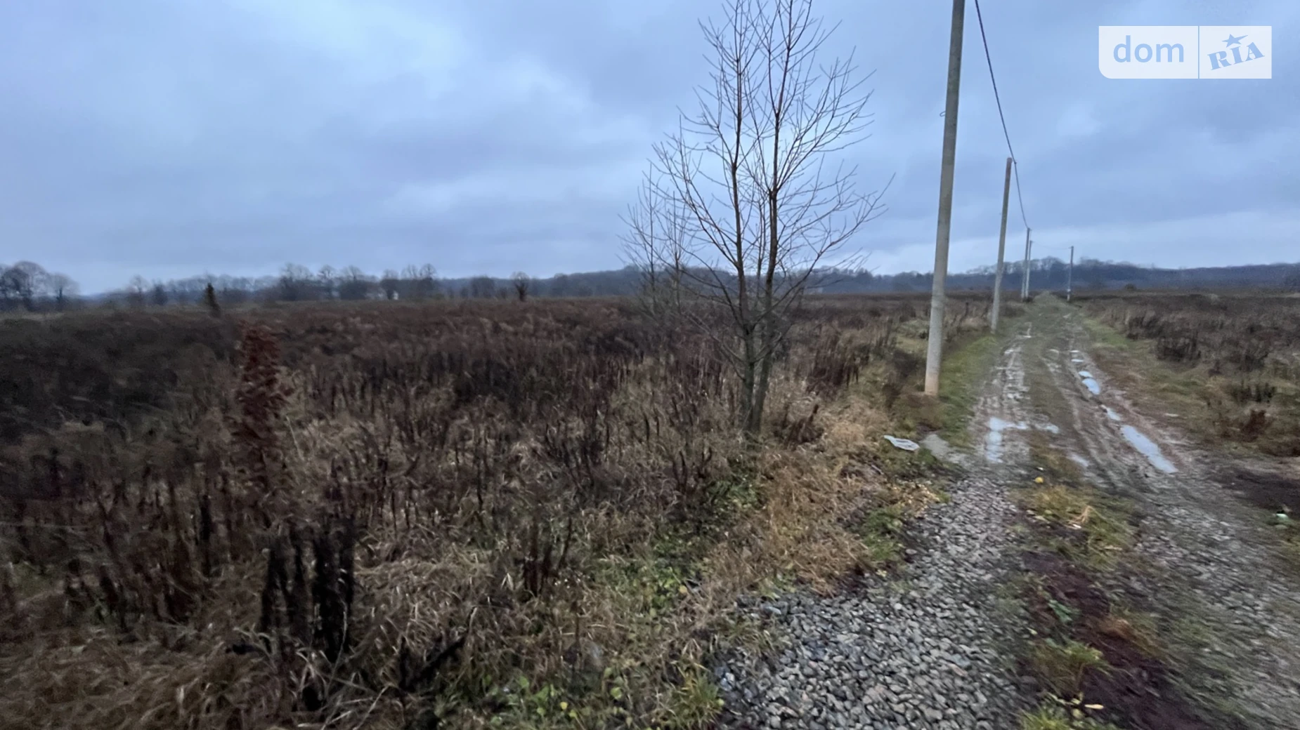 Продается земельный участок 20 соток в Винницкой области, цена: 50000 $ - фото 5