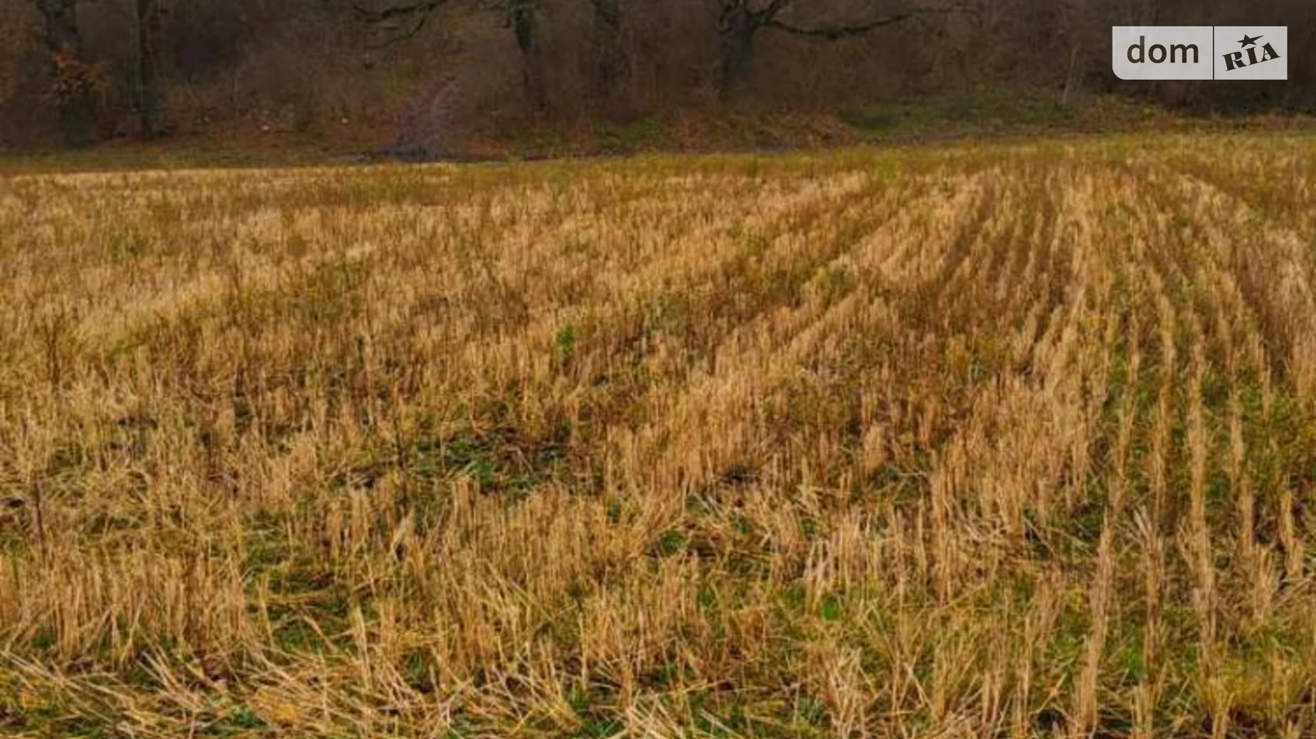 Продается земельный участок 15 соток в Тернопольской области, цена: 15000 $ - фото 4