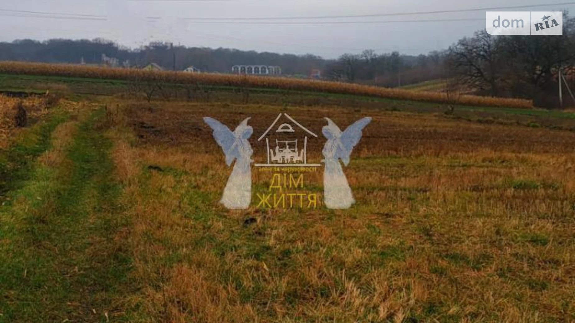 Продается земельный участок 15 соток в Тернопольской области, цена: 15000 $ - фото 5